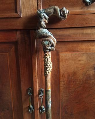 Bastone da passeggio/collezione 