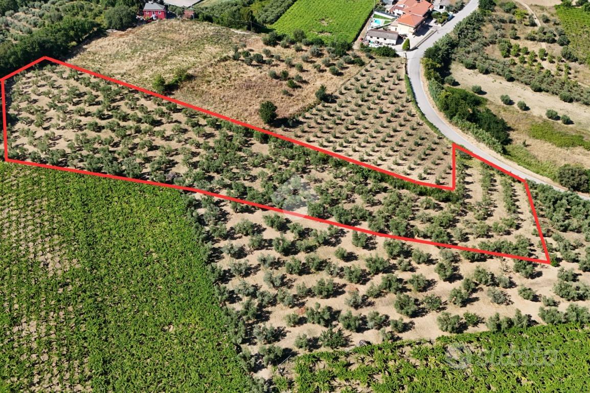 TER. AGRICOLO A FRANCAVILLA AL MARE - Vista 2