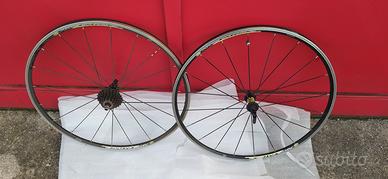 ruote bicicletta 