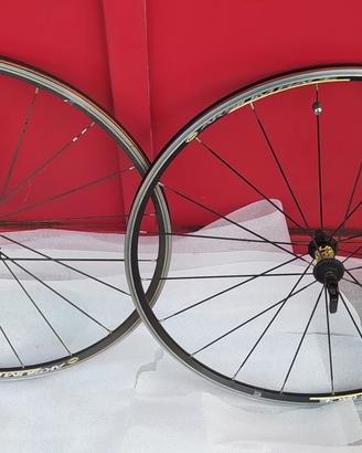 ruote bicicletta 