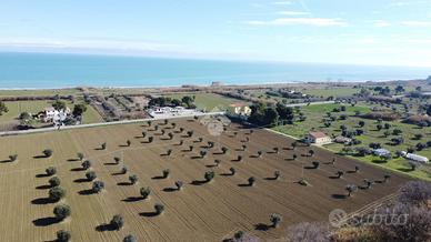 TER. AGRICOLO A ROSETO DEGLI ABRUZZI