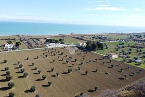 TER. AGRICOLO A ROSETO DEGLI ABRUZZI