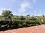 Immagine 18