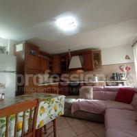Terratetto Ateleta [Cod. rif 0226VRG]