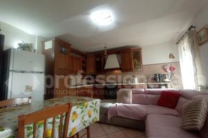 Terratetto Ateleta [Cod. rif 0226VRG]