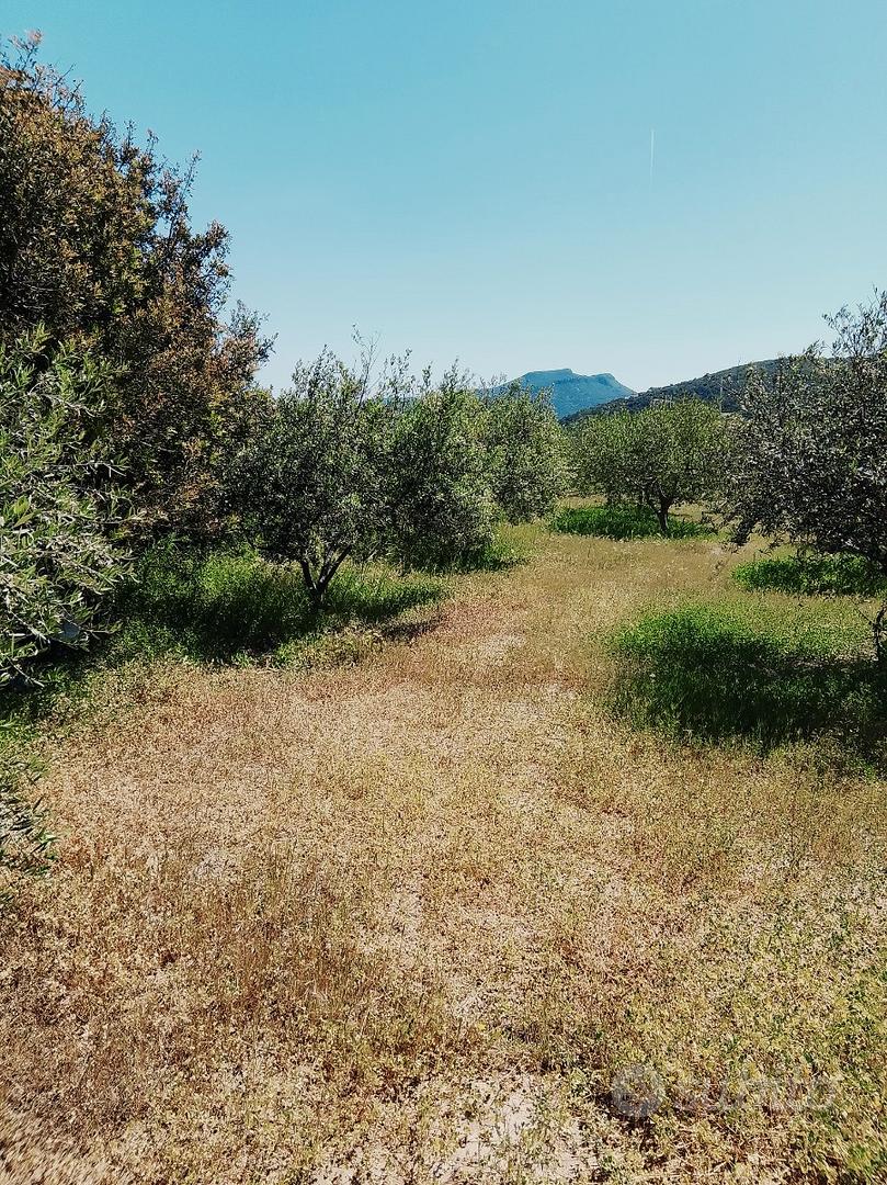 Terreno Malafama - Vista 2