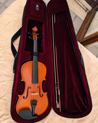 Violino