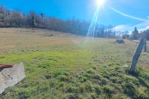 Porzione di casa singola, Valdimonte SL/201