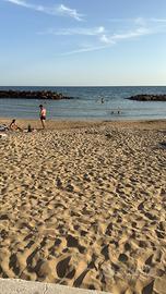 Richiesta stagionale santa severa