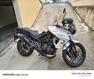  Triumph Tiger 800 xrx low 2019  full optional