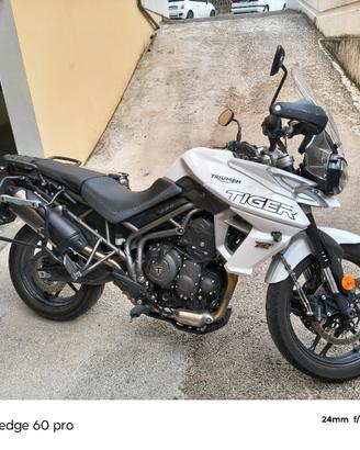  Triumph Tiger 800 xrx low 2019  full optional