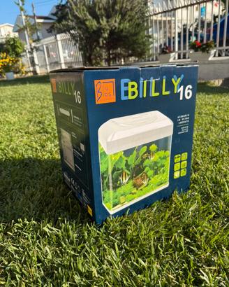 Acquario Billy 16