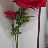 Rosa decorazione