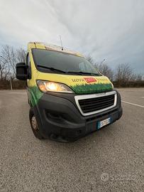 Pegeout Boxer 2.0 2018