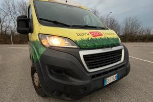 Pegeout Boxer 2.0 2018