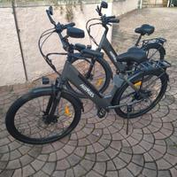 Bicicletta elettrica