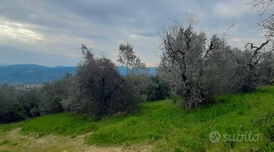 Terreno con possibilità di costruire un annesso ag