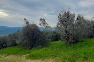 Terreno con possibilità di costruire un annesso ag