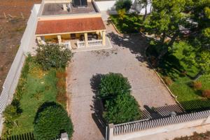 Casa Vacanza Villa degli Oleandri, Animali ammessi