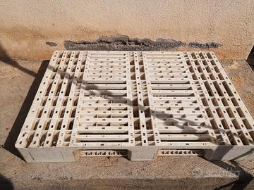 Pallet plastica bianco forato HACCP