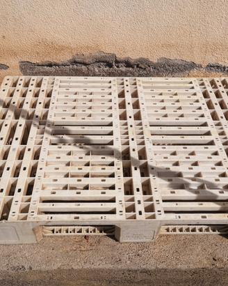 Pallet plastica bianco forato HACCP