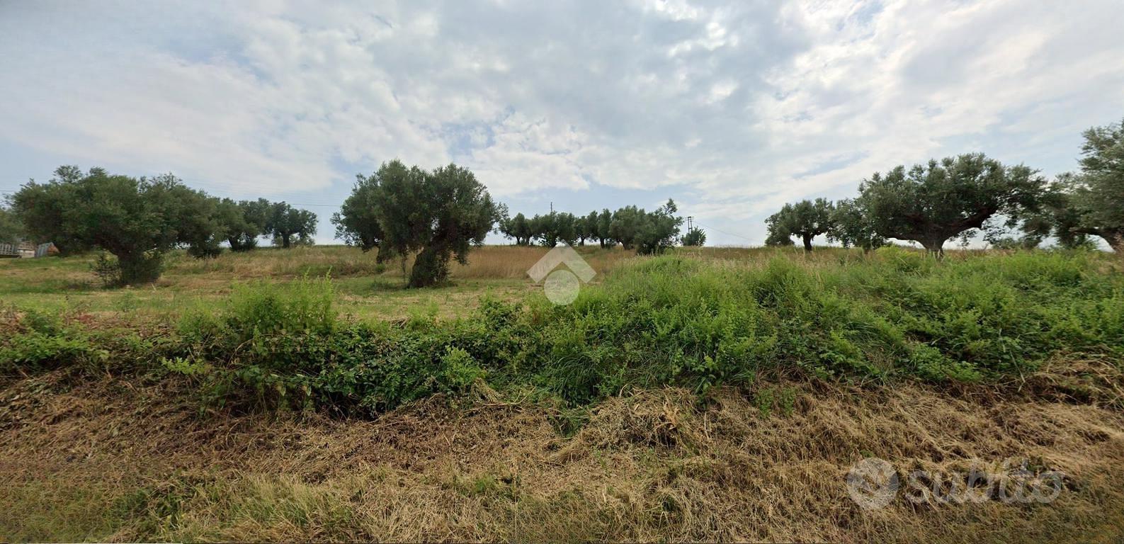 TER. RESIDENZIALE A CASTELLALTO - Vista 3