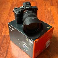 Sony a7III 9900 scatti