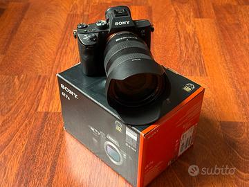 Sony a7III 9900 scatti