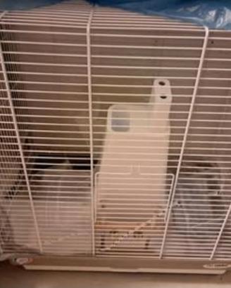 Gabbia per pappagallo