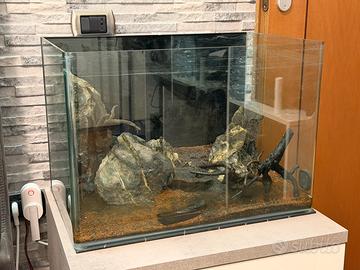 Acquario