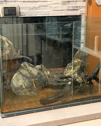 Acquario