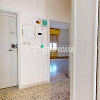 Viale Sicilia