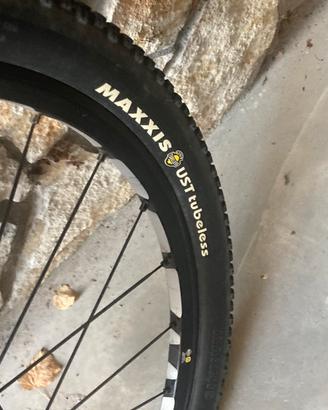 Bici MTB