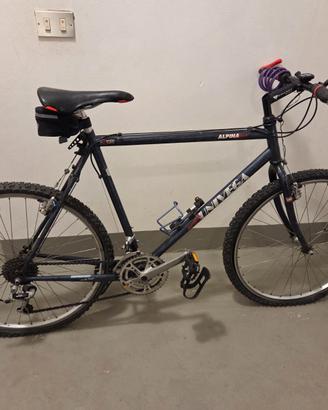 Mountain bike