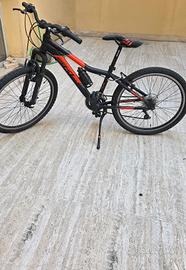 bicicletta ragazzo