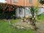 Immagine 6