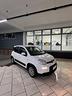 fiat-panda-1-0-firefly-s-s-hybrid-easy
