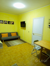 Disponibile da novembre ad aprile/maggio