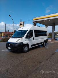 Fiat ducato 9 posti