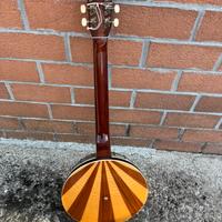 banjo Eko vintage