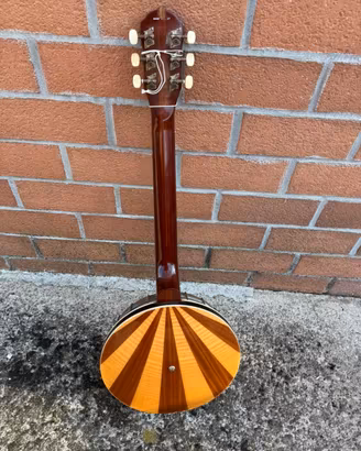 banjo Eko vintage