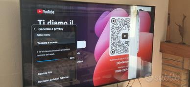 samsung 55" lcd lxd danneggiato