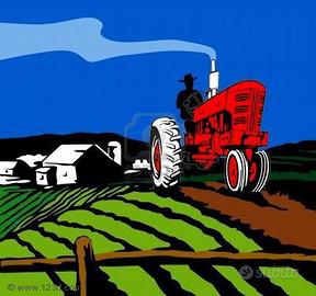 Terreno Agricolo Adria [A4250VRG]