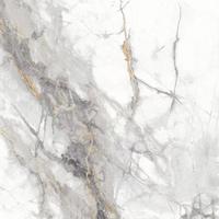 PIASTRELLE GRES PORCELLANATO