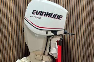 Evinrude 150 E-Tec ricambi