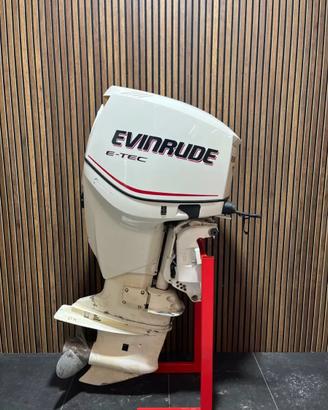 Evinrude 150 E-Tec ricambi
