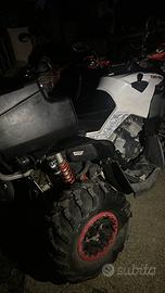 Can am renegade