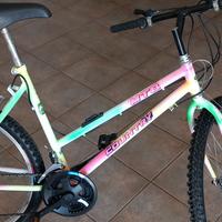 bici mtb 