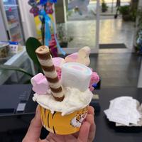 Gelateria artigianale