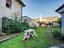 Immagine 17